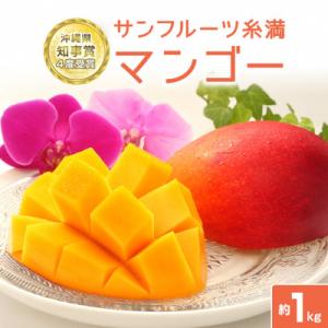 【2026年発送】沖縄県知事賞4度受賞　サンフルーツ糸満のマンゴー1kg