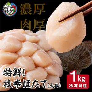 ふるさと納税 枝幸町 特鮮!枝幸ほたて(大粒)冷凍貝柱1kg(S〜2Sサイズ)