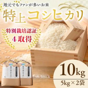 令和7年産　特別栽培米コシヒカリ10kg(5kg×2袋)　福井県小浜市「松のみどりの」