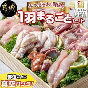 【宮崎県 都城市】みやざき地頭鶏1羽まるごとセット