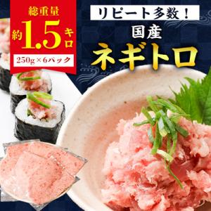 ふるさと納税 勝浦市 勝浦市の人気の海鮮お礼品 ネギトロ 250g×6パック(合計約1.5kg)｜さとふる