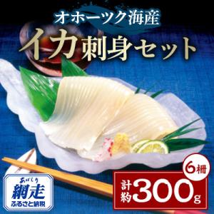 ふるさと納税 網走市 美味イカ刺身セット6柵約300g