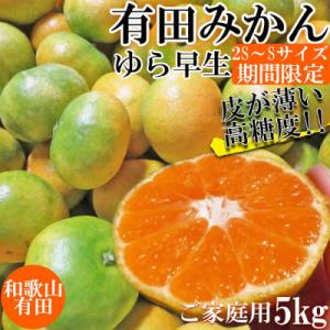 ふるさと納税 湯浅町 先行受付【ご家庭用 極早生】和歌山有田ゆら早生みかん約5kg(SS、Sサイズいずれか)【湯浅町】