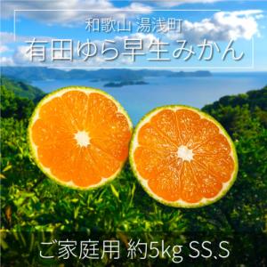 ふるさと納税 湯浅町 先行受付【ご家庭用 極早生】和歌山有田ゆら早生みかん約5kg(SS、Sサイズい...