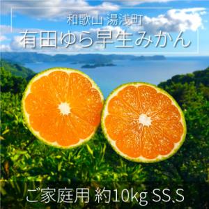 ふるさと納税 湯浅町 先行受付【ご家庭用 極早生】和歌山有田ゆら早生みかん約10kg(SS、Sサイズ...