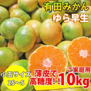 有田みかん 約10kg ご家庭用 和歌山 ゆら早生 極早生 (SS、Sサイズ)【湯浅町】