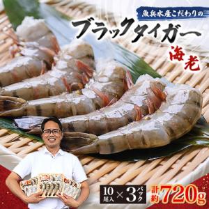 ふるさと納税 ひたちなか市 魚兵水産こだわりのブラックタイガー海老　