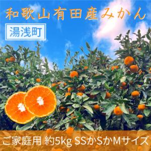 ふるさと納税 湯浅町 先行受付【ご家庭用】和歌山有田みかん約5kg(SS、S、Mサイズいずれか)【湯浅町】