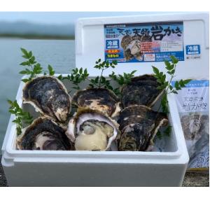 ふるさと納税 苓北町 熊本県産　福島水産の天草天領岩かき 2.5kg