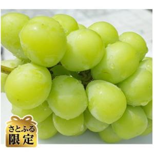 山梨県 ふるさと納税 【数量限定】山梨県産　産地直送シャインマスカット　2kg箱<さとふる限定>｜y-sf