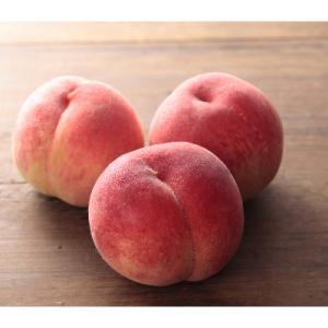 ふるさと納税 山梨県 <やまなしGAP認証農場>山梨県旬の果実_桃1.8kg