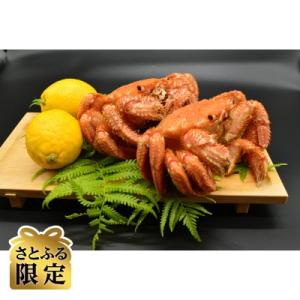 ふるさと納税 北見市 【さとふる限定】漁師が茹でた毛蟹2尾