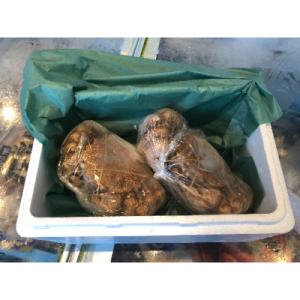 ふるさと納税 北見市 【さとふる限定】漁師が茹...の詳細画像2