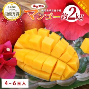 【2026年発送 先行予約】鹿児島県いぶすき産温泉完熟マンゴー約2kg4～6個(IB057-002)