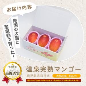 ふるさと納税 指宿市 【2026年発送 先行予...の詳細画像3