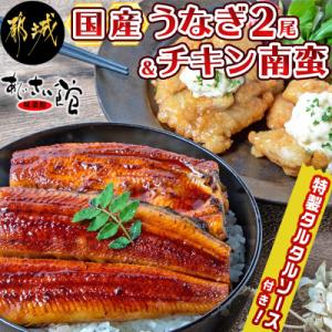 ふるさと納税 都城市 国産うなぎ2尾&amp;チキン南蛮