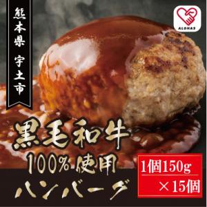ふるさと納税 宇土市 黒毛和牛ハンバーグ　150g×15個(宇土市)