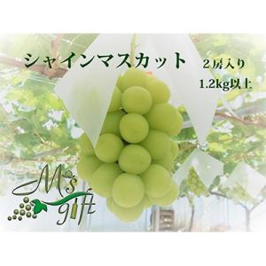 ふるさと納税 山梨市 山梨厳選の逸品シャインマスカット2房