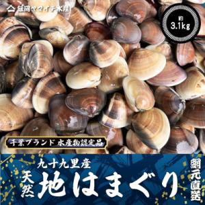 ふるさと納税 旭市 九十九里産　活はまぐり　約3.1kg