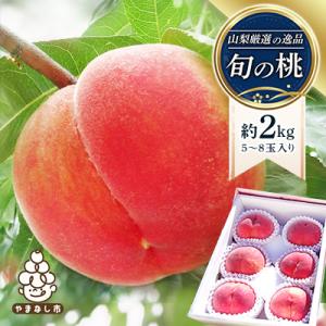 ふるさと納税 山梨市 【ふるさと納税】【果物】山梨厳選の逸品旬の桃 約2kg