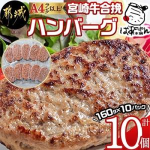 ふるさと納税 都城市 宮崎牛合い挽きハンバーグ10個