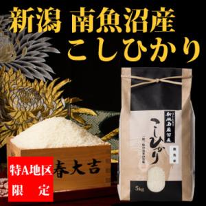 ふるさと納税 南魚沼市 【令和6年産】【厳選】南...の商品画像