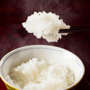 ふるさと納税 南魚沼市 【令和6年産】【厳選】...の詳細画像1