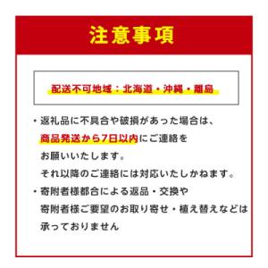 ふるさと納税 指宿市 【観葉植物】ウンベラータ...の詳細画像3
