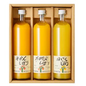 伊藤農園の100%ピュアジュース750ml×3本ギフトセット