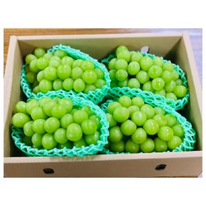 ふるさと納税 南アルプス市 山梨県産シャインマスカット!(3〜5房入り・2kg以上)