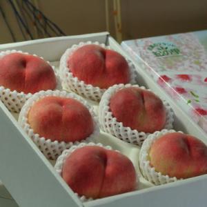 【産地直送】和歌山県産　桃(もも)　5玉～8玉　秀品
