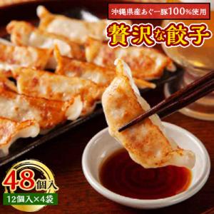 沖縄県産あぐー豚を100%使用した贅沢な餃子です　48個入(12個入×4袋)