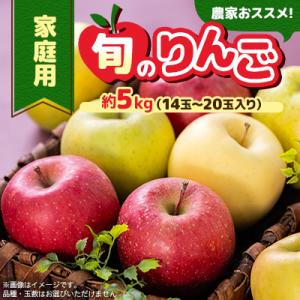 ふるさと納税 青森市 家庭用【2025年11月〜2026年3月発送】農家おススメ!旬のりんご約5kg(14玉〜20玉入り)