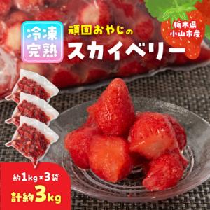 ふるさと納税 小山市 頑固おやじの冷凍完熟スカイベリー3kg(1kgX3袋)