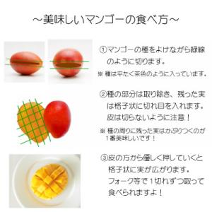 ふるさと納税 宮崎市 完熟!宮崎マンゴー【特秀...の詳細画像3