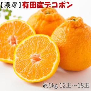 ふるさと納税 有田川町 【お味濃厚】紀州有田産の大玉デコポン約5kg(12玉〜18玉入り)(有田川町...