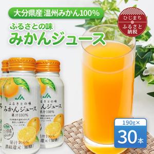 ふるさとの味　みかんジュース果汁100%(30本)