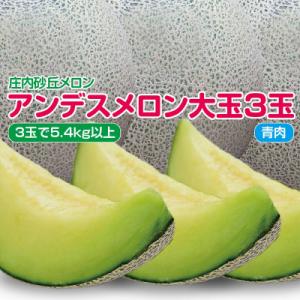 庄内砂丘メロン　アンデスメロン(青肉)大玉3玉(1玉1.8kg以上)　つるなし　化粧箱入