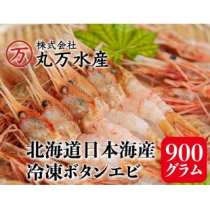 ボタンエビ 900g(39尾～54尾)