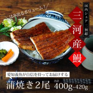 【期間限定】三河産　超特大うなぎ「蒲焼冷凍×2尾」・A090-17