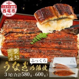 【期間限定】三河産鰻蒲焼冷凍＜超特大＞3尾(計580g以上)・A091-24_s
