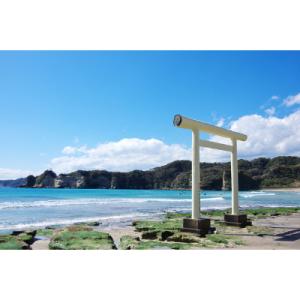 ふるさと納税 勝浦市 【千葉県勝浦市】ふるさと納税旅行クーポン(3,000円分)