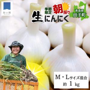 ふるさと納税 田子町 令和5年産 朝採り直送! 田子町産