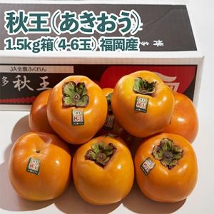 【先行受付】秋王(あきおう)　柿　約1.5kg箱(4-6玉)(朝倉市)