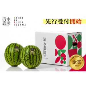 2026年7月中旬から発送予定　野菜ソムリエサミット金賞受賞　「清水農園の八色産小玉スイカ」