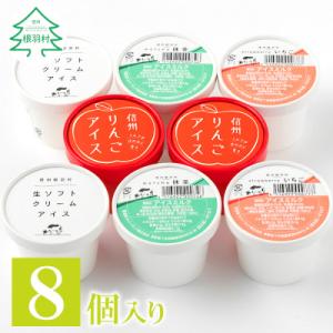 ふるさと納税 根羽村 南信州産 手作りアイス詰め合わせ 8個セット