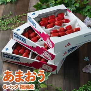 【12月上旬より順次発送】酸味と甘みの絶妙なバランス・冬あまおう6パック(大牟田市)