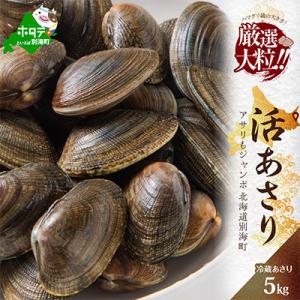 大粒 天然 あさり 貝 5kg前後 (140～260粒) 北海道 砂出し済み 希少な国産 大アサリ