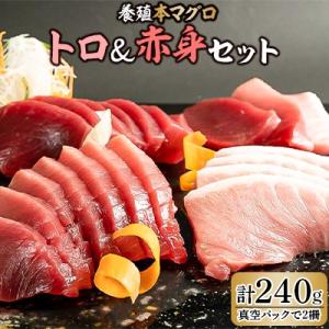 ふるさと納税 湯浅町 本マグロ(養殖)トロ&赤身セット240g