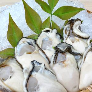 ふるさと納税 さぬき市 (先行)讃岐むき身かき 1kg